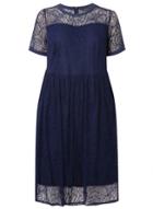Dorothy Perkins Dp Curve Navy Lace Fit And Flare Dress
