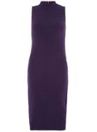 Dorothy Perkins Purple High Neck Rib Bodycon Dress