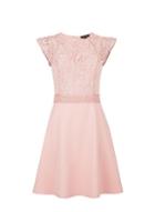 Dorothy Perkins *blush Lace Trim Dress