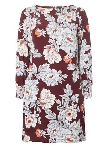 Dorothy Perkins Burgundy Floral Shift Dress