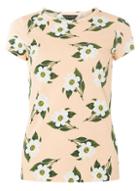 Dorothy Perkins Nude Stem Floral Print T-shirt