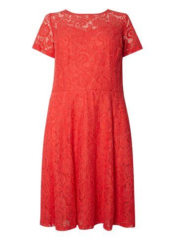 Dorothy Perkins Dp Curve Red Lace Midi Fit And Flare Dress