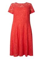 Dorothy Perkins Dp Curve Red Lace Midi Fit And Flare Dress