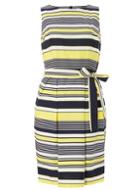 Dorothy Perkins Stripe Cotton Fit And Flare Dress