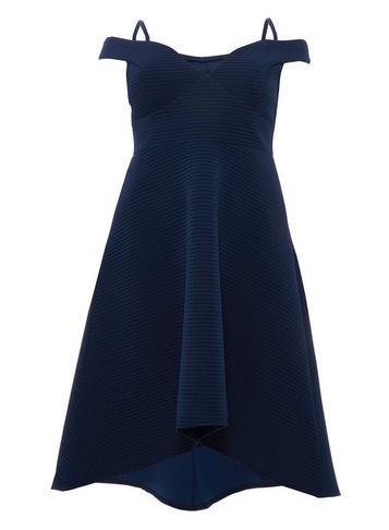 *quiz Curve Navy Striped Skater Dress