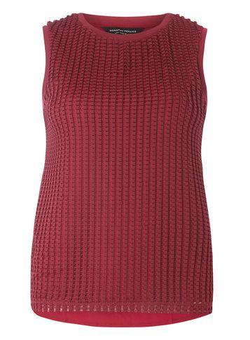 Dorothy Perkins Berry Textured Lace Top