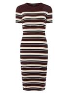 Dorothy Perkins Burgundy Stripe Knitted Dress