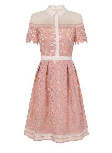 Dorothy Perkins *chi Chi London Collared Laser Cut Midi Dress