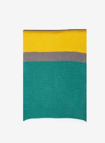 Dorothy Perkins Multi Colour Bright Striped Scarf