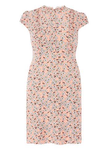 Dorothy Perkins Coral Ditsy Frill Dress