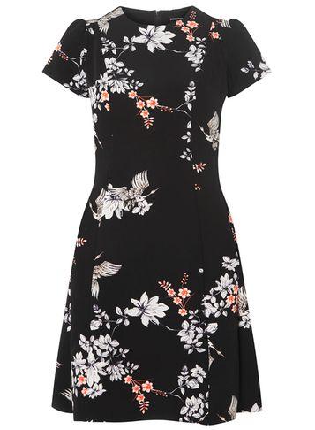 Dorothy Perkins Black Oriental Print Skater Dress