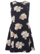 Dorothy Perkins Petite Navy Floral Print Fit And Flare Dress