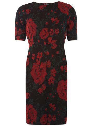 Dorothy Perkins Multi Coloured Rose Print Bodycon Dress
