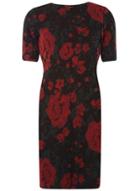 Dorothy Perkins Multi Coloured Rose Print Bodycon Dress