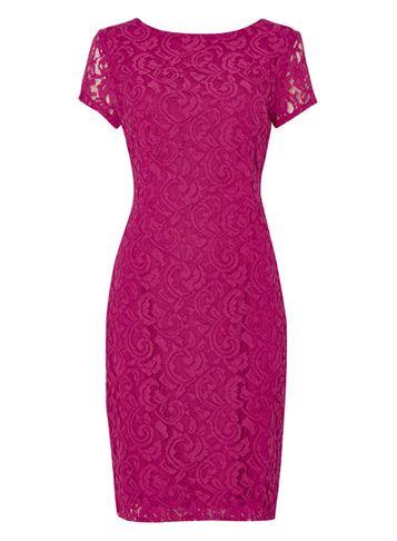 Dorothy Perkins *roman Originals Magenta Lace V-back Dress