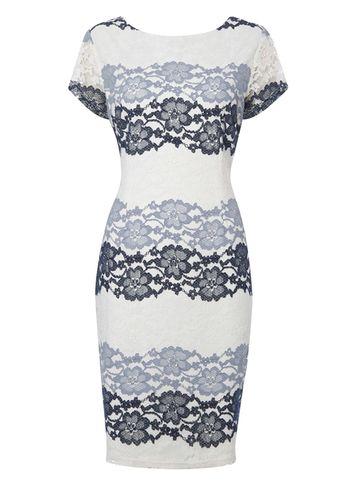 Dorothy Perkins *roman Originals Grey Tonal Lace Dress