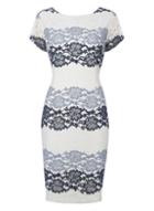 Dorothy Perkins *roman Originals Grey Tonal Lace Dress