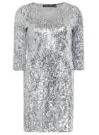 Dorothy Perkins Silver Velvet Sequin Bodycon Dress
