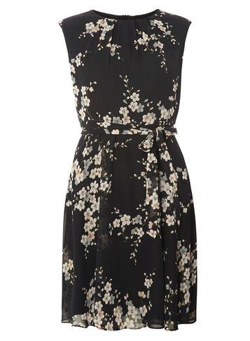 Dorothy Perkins *billie & Blossom Petite Black Floral Dress
