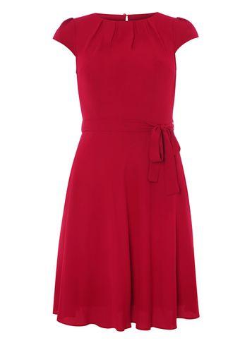 Dorothy Perkins *billie & Blossom Wine Belted Skater Dress