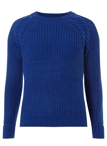 Dorothy Perkins Petite Royal Blue Jumper