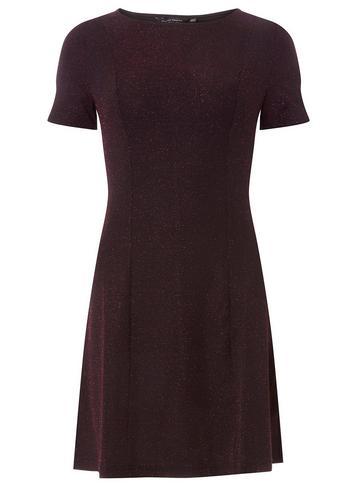 Dorothy Perkins Burgundy Glitter Fit And Flare Dress