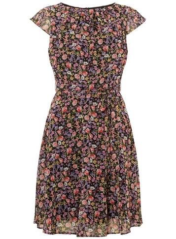 Dorothy Perkins *billie & Blossom Multi Coloured Chiffon Skater Dress