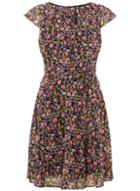 Dorothy Perkins *billie & Blossom Multi Coloured Chiffon Skater Dress