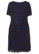 Dorothy Perkins Dp Curve Black And Cobalt Lace Shift Dress
