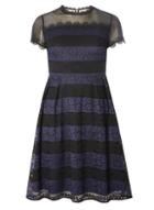 Dorothy Perkins Petite Navy Striped Dress