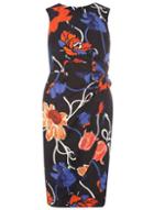 Dorothy Perkins Multi Coloured Floral Print Knot Side Pencil Dress