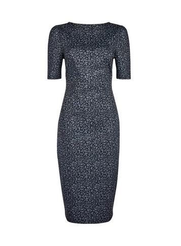 Dorothy Perkins *tall Grey Animal Print Bodycon Dress