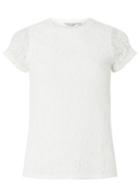 Dorothy Perkins Petite Ivory Lace T-shirt