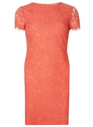 Dorothy Perkins Petite Coral Lace Shift Dress