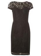 Dorothy Perkins Black Contrast Lace Pencil Dress