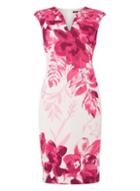 Dorothy Perkins *roman Originals Cerise Notch Neck Dress
