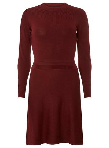 Dorothy Perkins Wine Rib Waist Skater Dress