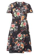 Dorothy Perkins Dp Curve Black Floral D-ring Fit And Flare Dress