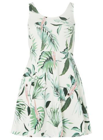Dorothy Perkins Petite Multi Parrot Fit And Flare Dress
