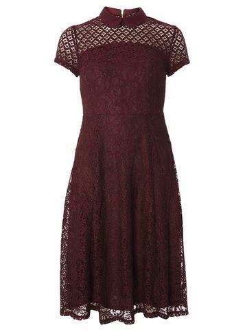Dorothy Perkins Burgundy Lace Fit And Flare Dress