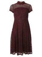 Dorothy Perkins Burgundy Lace Fit And Flare Dress