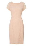 Dorothy Perkins *roman Originals Pink Lace V-back Dress