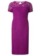 Dorothy Perkins Purple Lace Scallop Pencil Dress