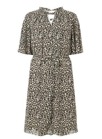 Dorothy Perkins *dp Curve Animal Print 'hannah' Twist Skater Dress