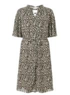 Dorothy Perkins *dp Curve Animal Print 'hannah' Twist Skater Dress
