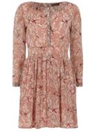Dorothy Perkins *closet Light Rust Printed Dress