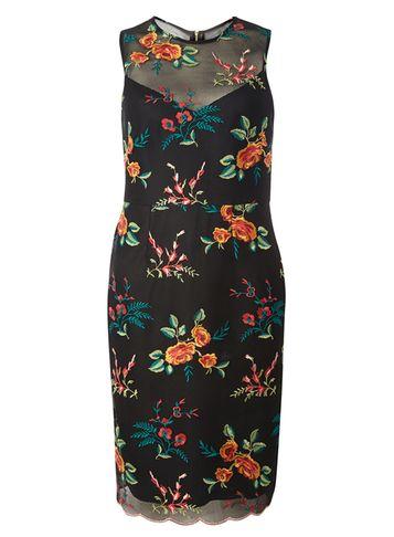 Dorothy Perkins Embroidered Mesh Pencil Dress