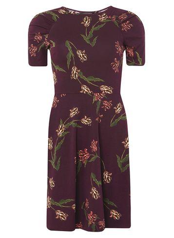 Dorothy Perkins Floral Print Ruched Sleeve Skater Dress