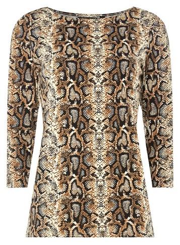 Dorothy Perkins Brown Printed Top