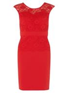 Dorothy Perkins *scarlett B Red 'jenny' Lace Bodycon Dress